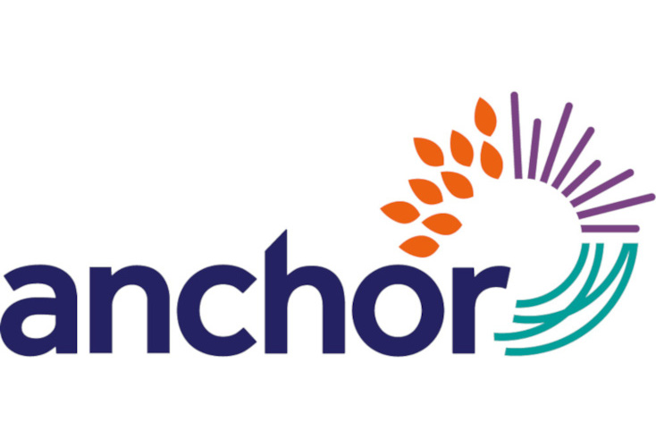 Anchor: Team Leader